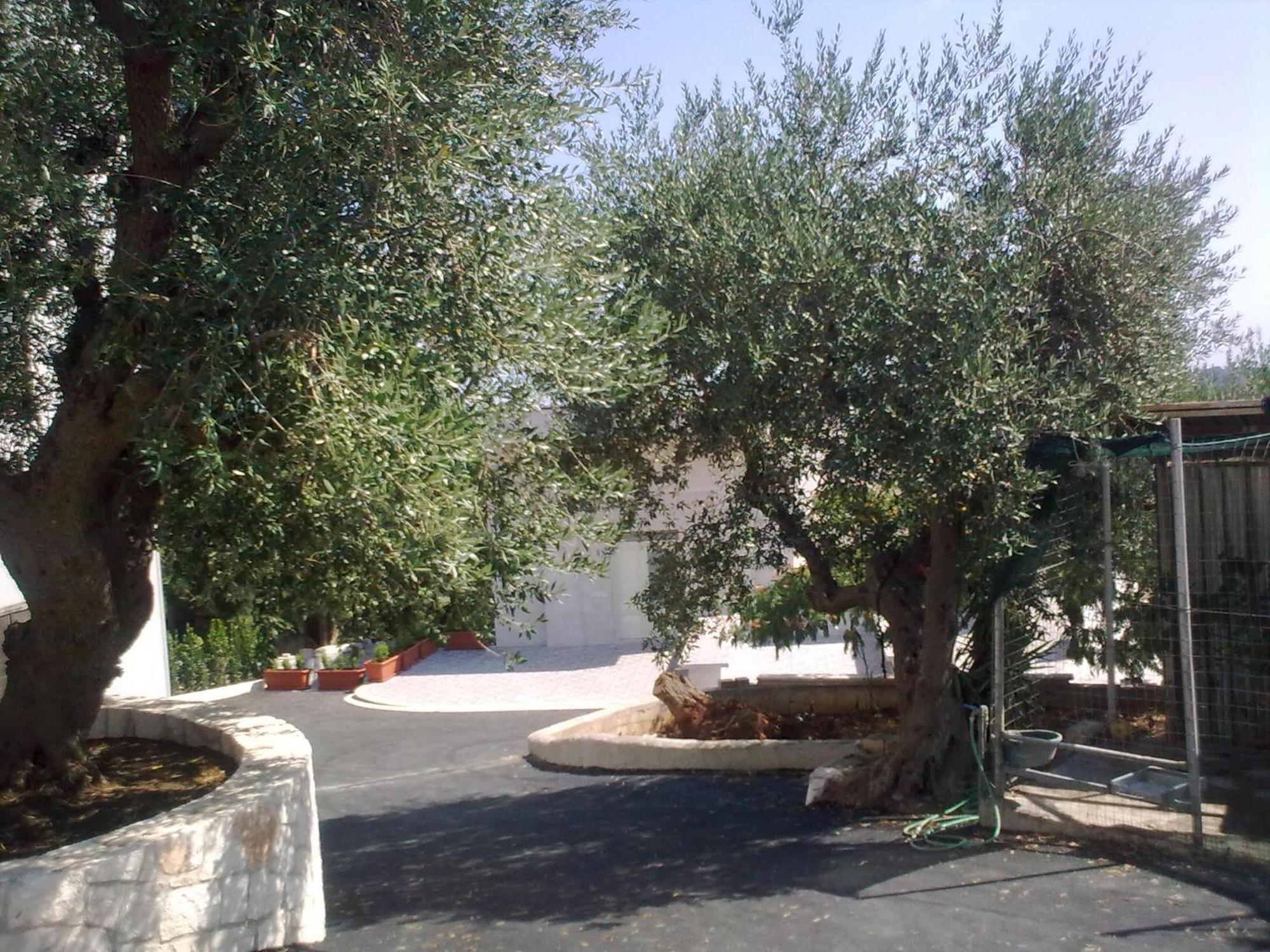 לוקורוטונדו Bed & Breakfast La Collinetta מראה חיצוני תמונה