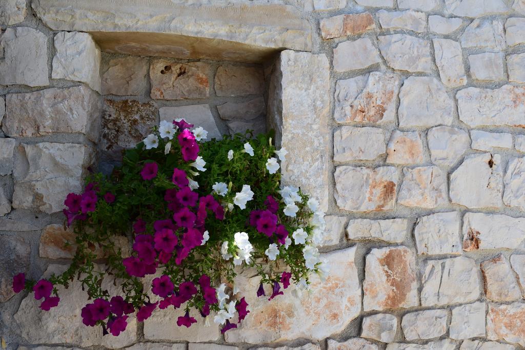 לוקורוטונדו Bed & Breakfast La Collinetta מראה חיצוני תמונה